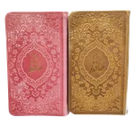 دیوان حافظ پالتویی چرمی 04