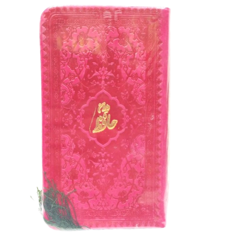 دیوان حافظ پالتویی