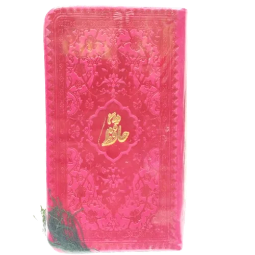 دیوان حافظ پالتویی