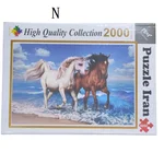 پازل 2000 تکه - پازل ایران/N